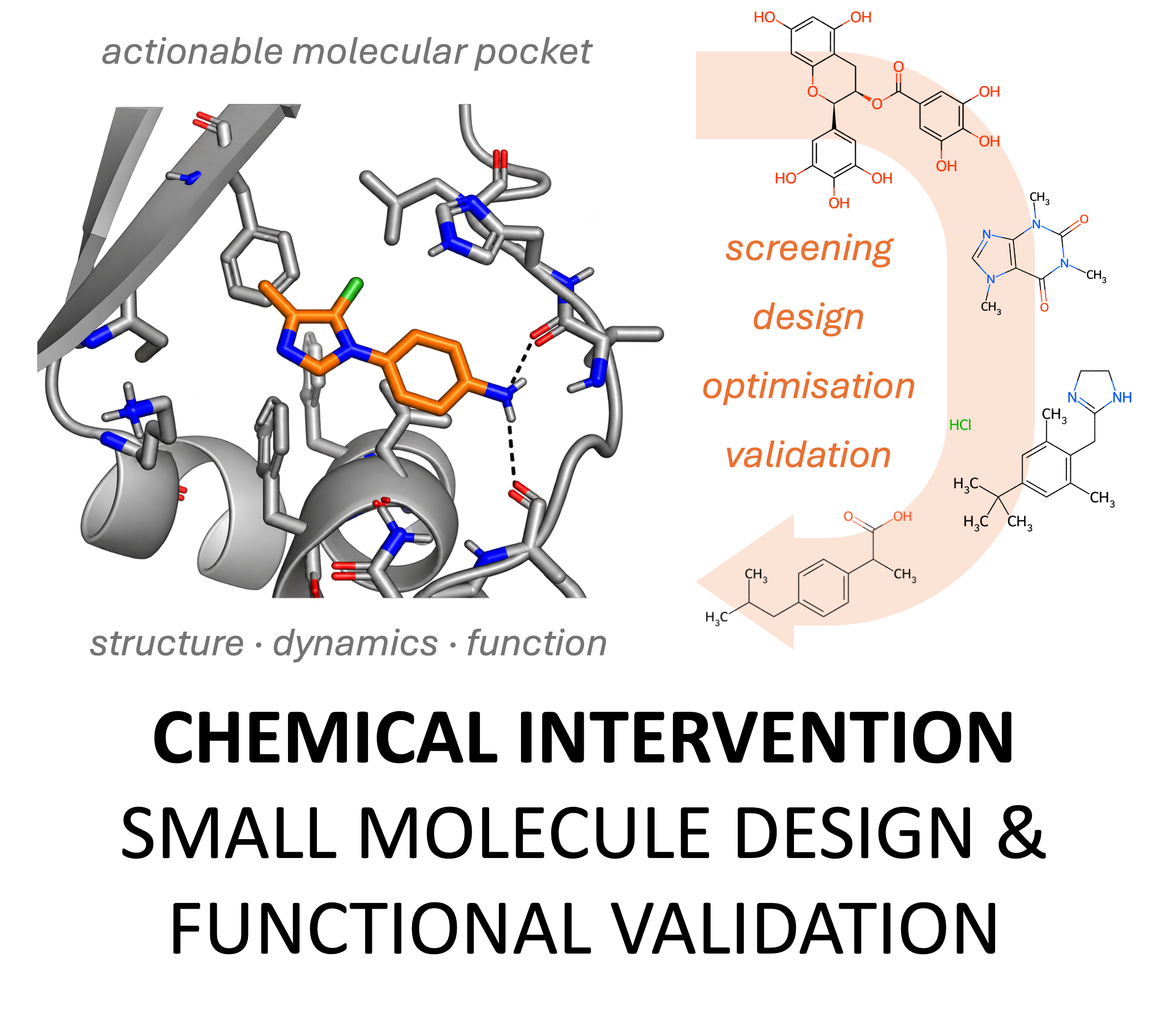 Actionable molecular pocket connected to screening, design, optimization and validation